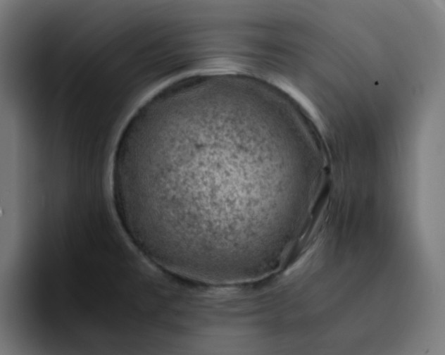 X0000093161477200710101145