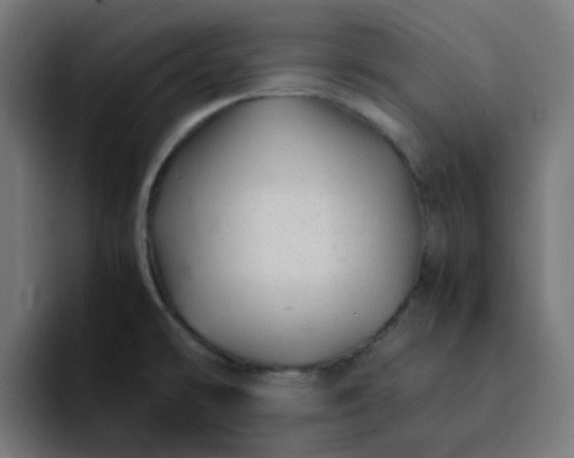 X0000093161478200710101145