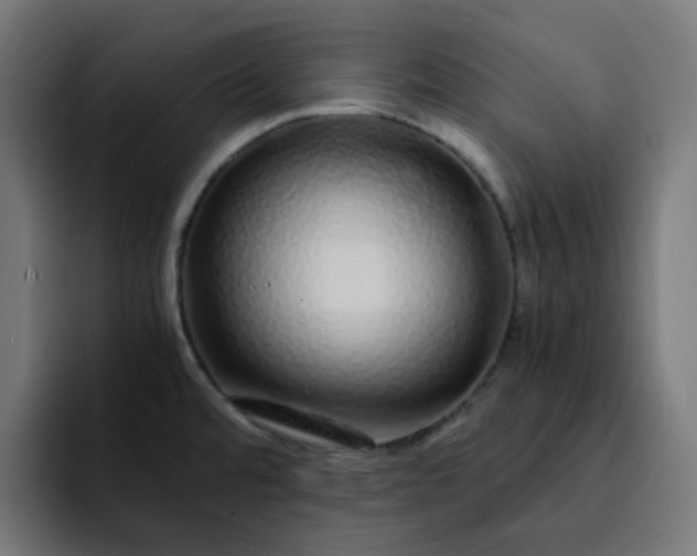 X0000093161480200710101145