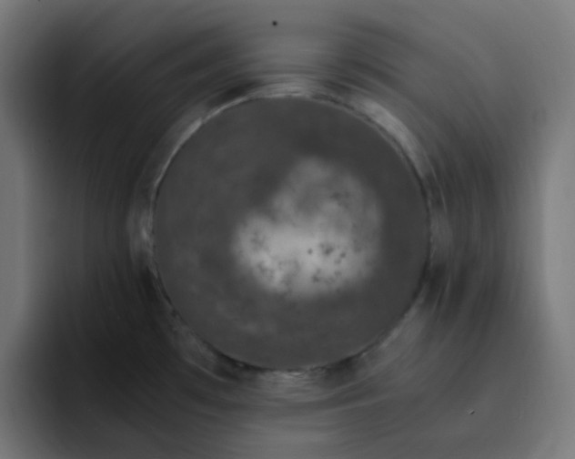 X0000093161481200710101145