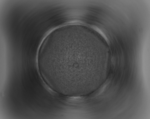 X0000093161482200710101145