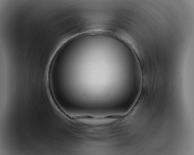 X0000093161483200710101145