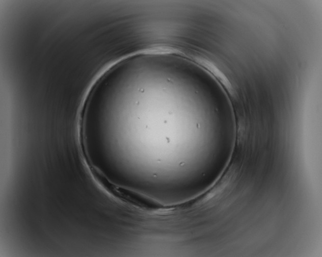 X0000093161484200710101145