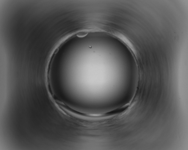 X0000093161485200710101145