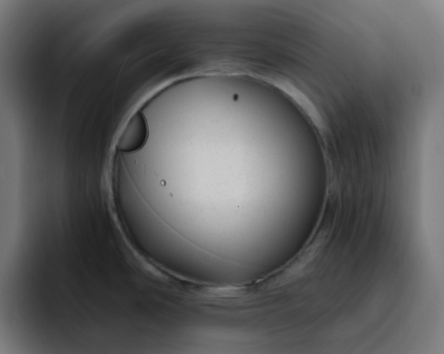 X0000093161486200710101145