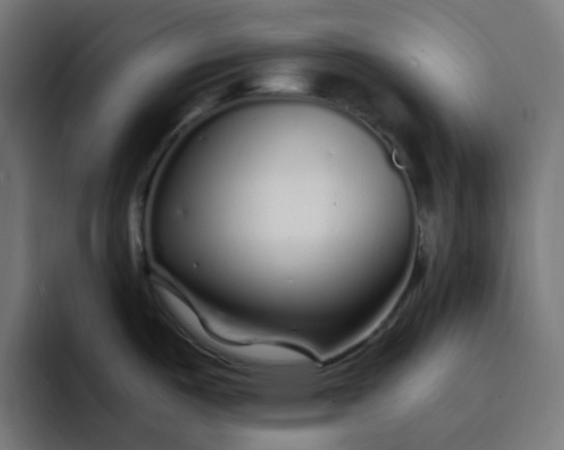 X0000093161487200710101145