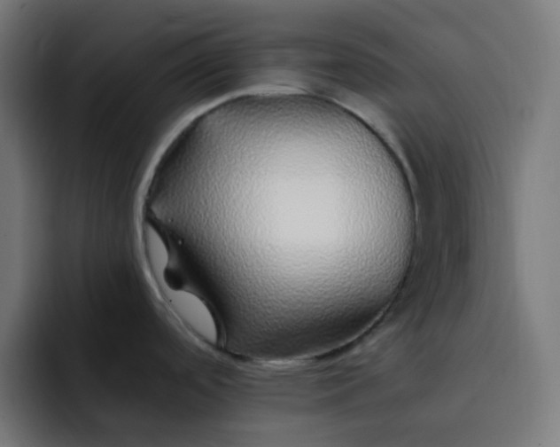 X0000093161488200710101145