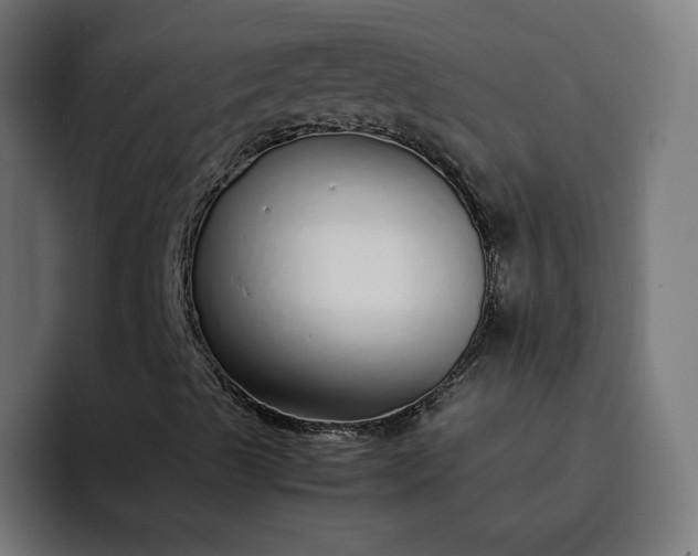 X0000093161489200710101144