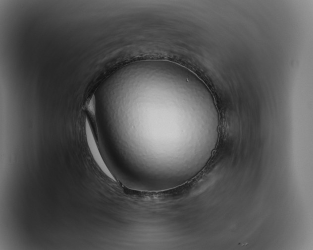 X0000093161490200710101144