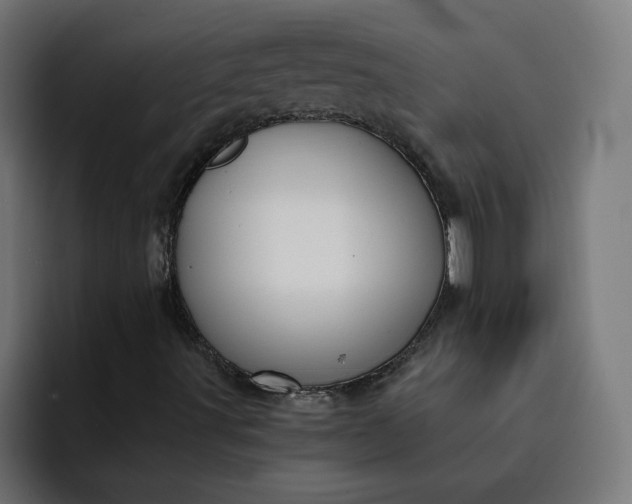 X0000093161491200710101144