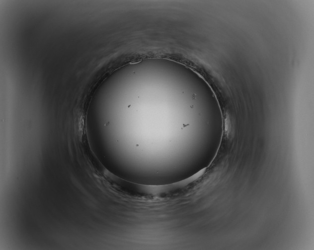 X0000093161492200710101144