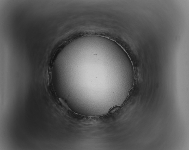 X0000093161493200710101144