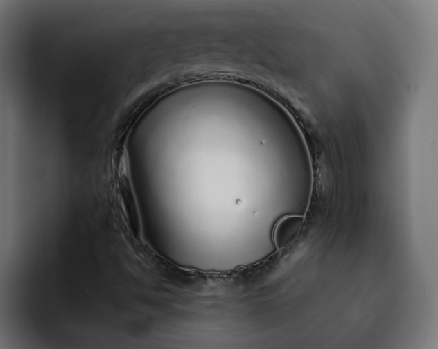 X0000093161494200710101144