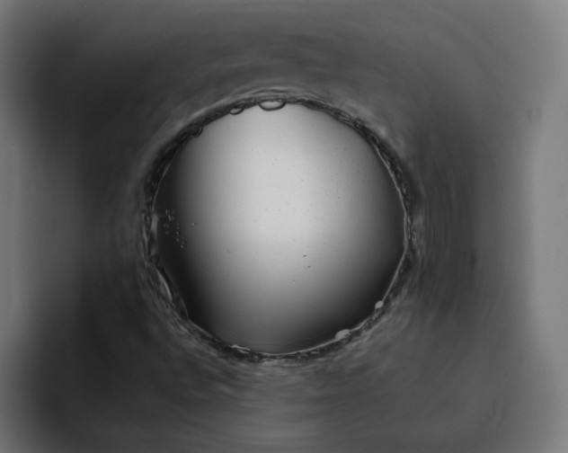 X0000093161496200710101144