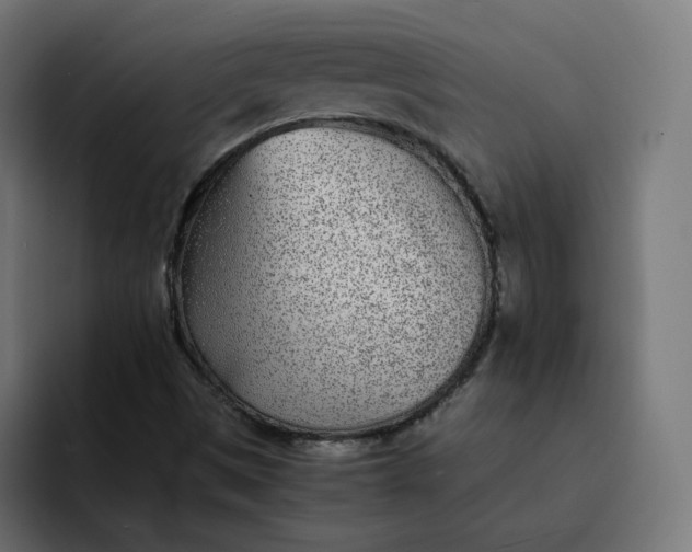 X0000093161497200710101144
