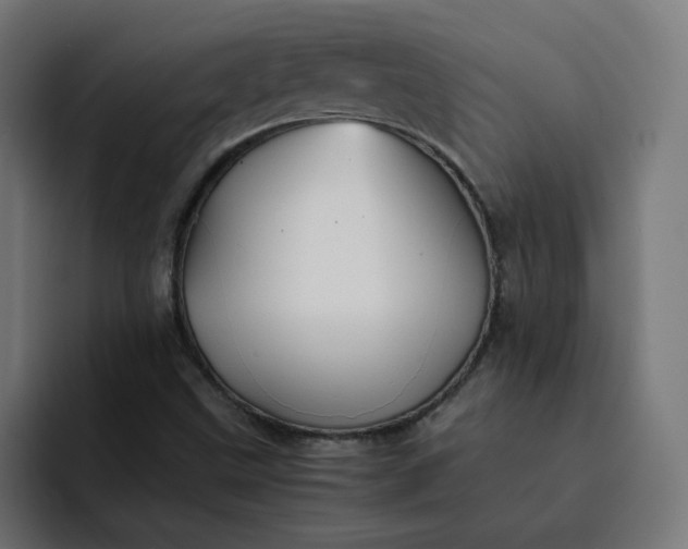X0000093161499200710101144