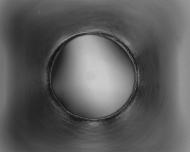 X0000093161501200710101144