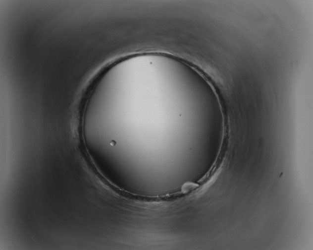 X0000093161502200710101144