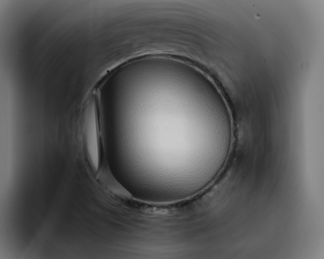 X0000093161505200710101144