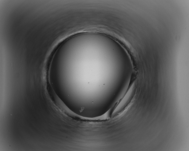 X0000093161506200710101144