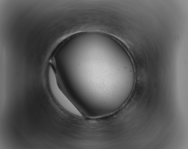 X0000093161507200710101144