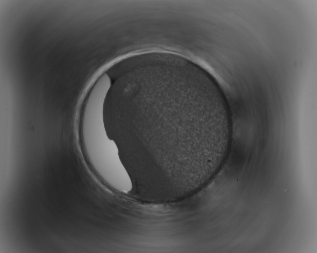 X0000093161508200710101144