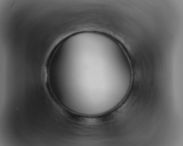 X0000093161509200710101144