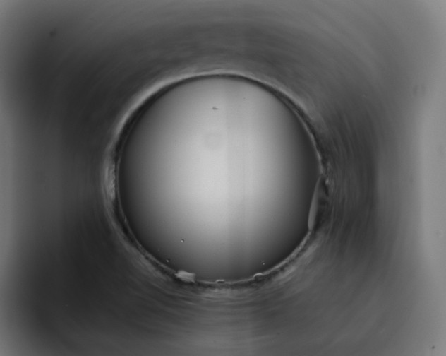 X0000093161510200710101144