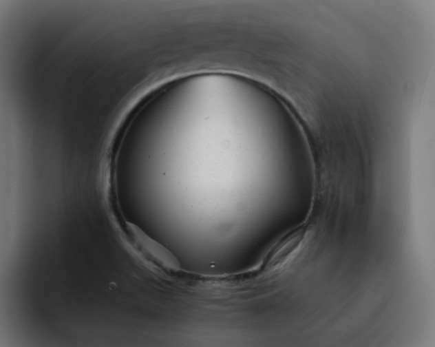 X0000093161511200710101144