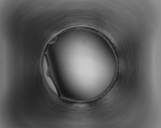 X0000093161513200710101144