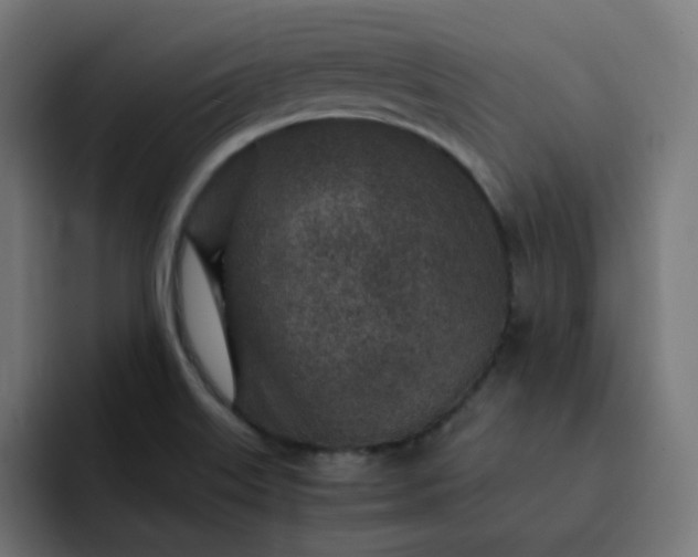 X0000093161515200710101144