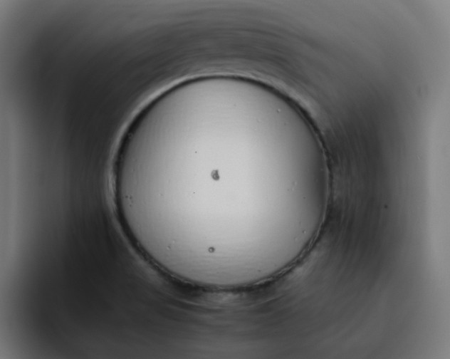 X0000093161517200710101144