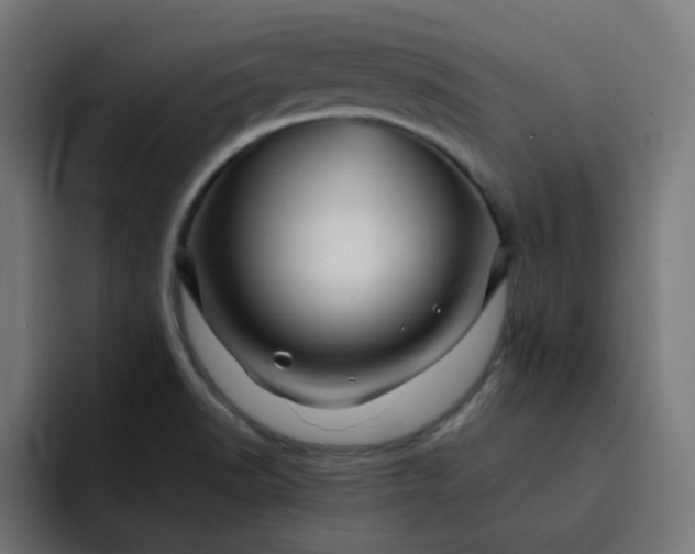 X0000093161518200710101144