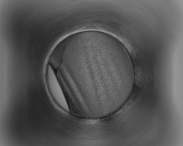 X0000093161519200710101145