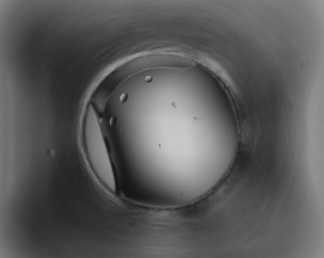 X0000093161520200710101145