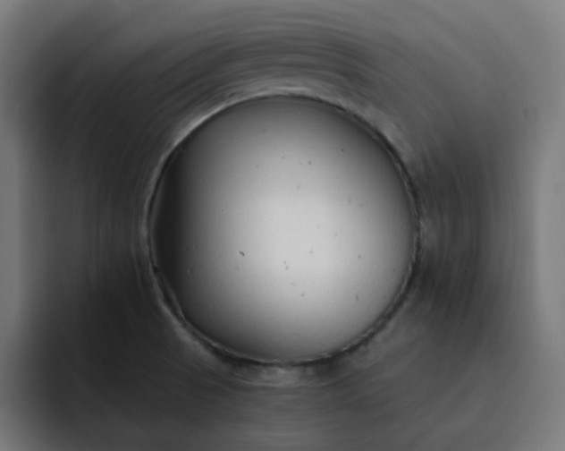 X0000093161521200710101145