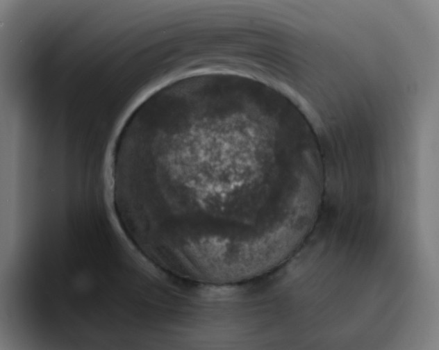 X0000093161522200710101145