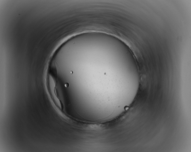 X0000093161523200710101145