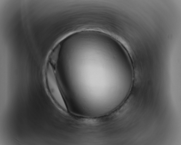 X0000093161525200710101145