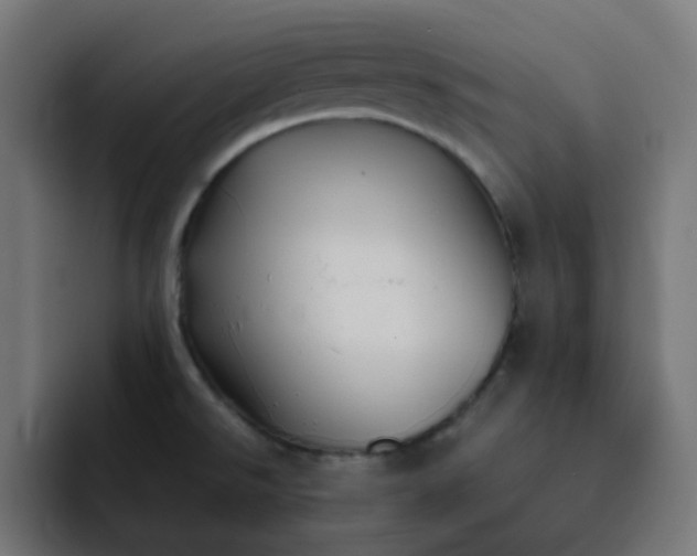 X0000093161526200710101145