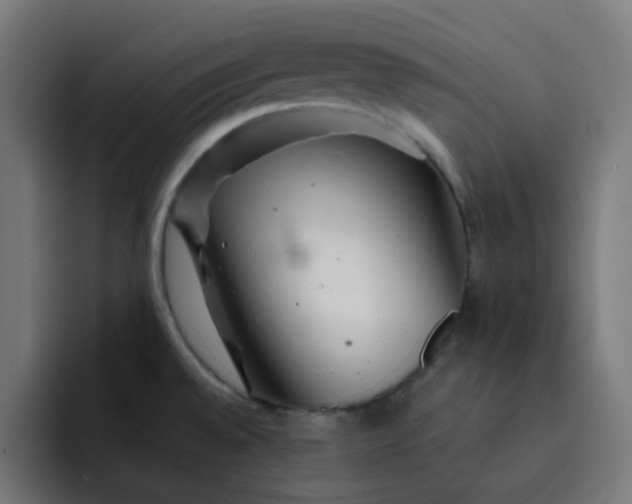 X0000093161528200710101145