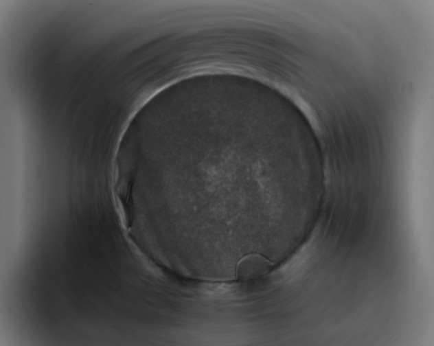 X0000093161529200710101145