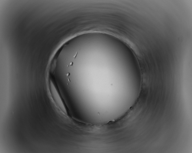 X0000093161530200710101145