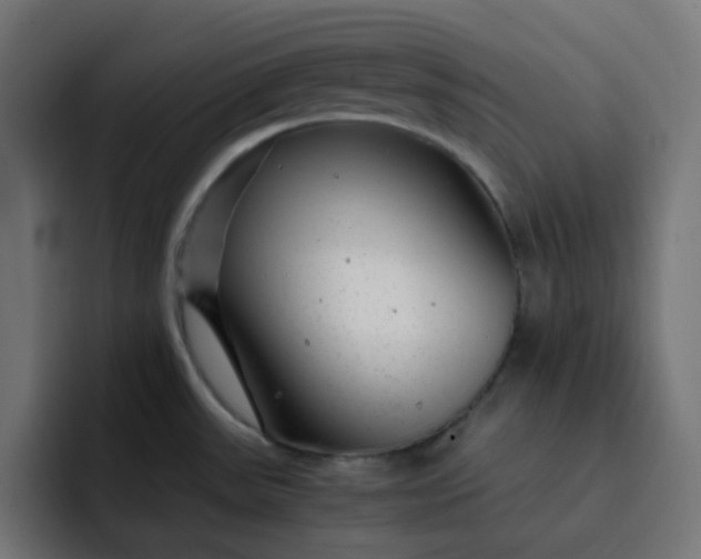 X0000093161531200710101145