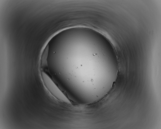 X0000093161532200710101145
