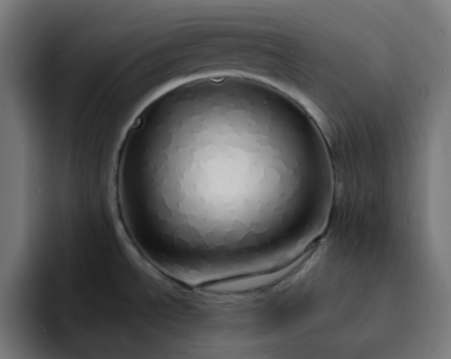 X0000093161534200710101145