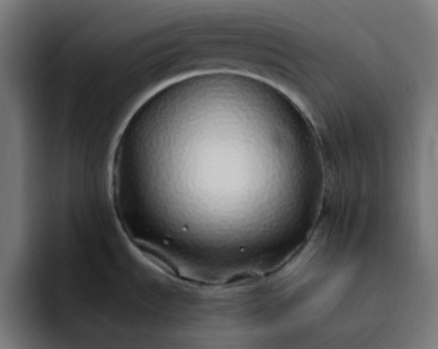 X0000093161535200710101145