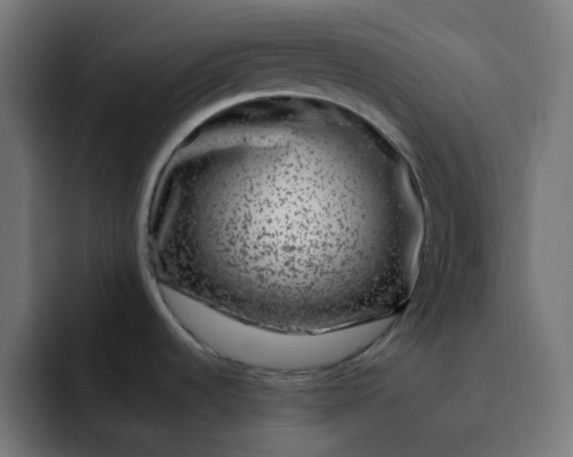 X0000093161536200710101145