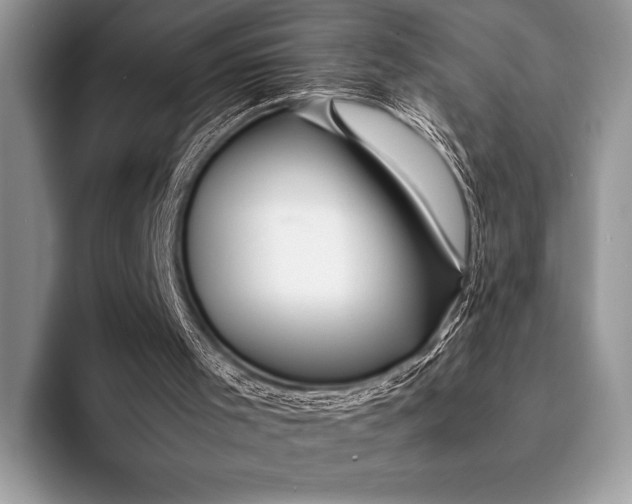 X0000093160001200710171218