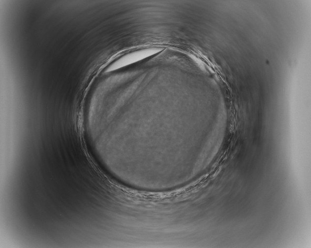 X0000093160002200710171218